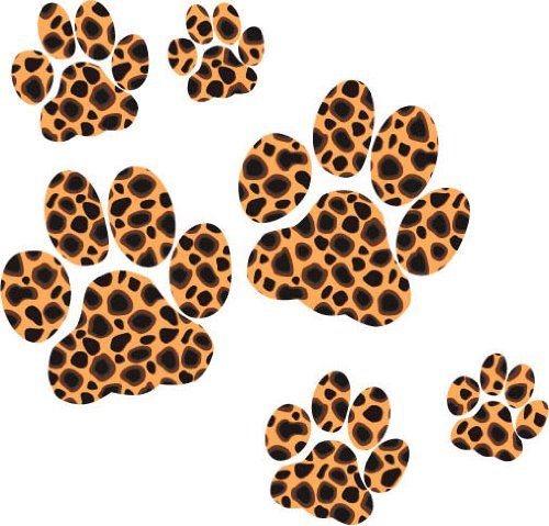 cheetah clipart paw