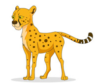 Cheetah real