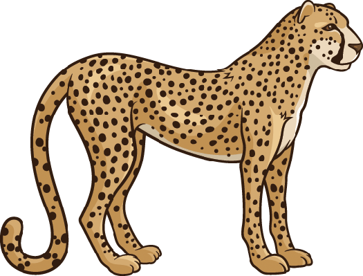 Cheetah clipart real, Cheetah real Transparent FREE for download on ...