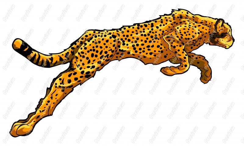 cheetah clipart svg