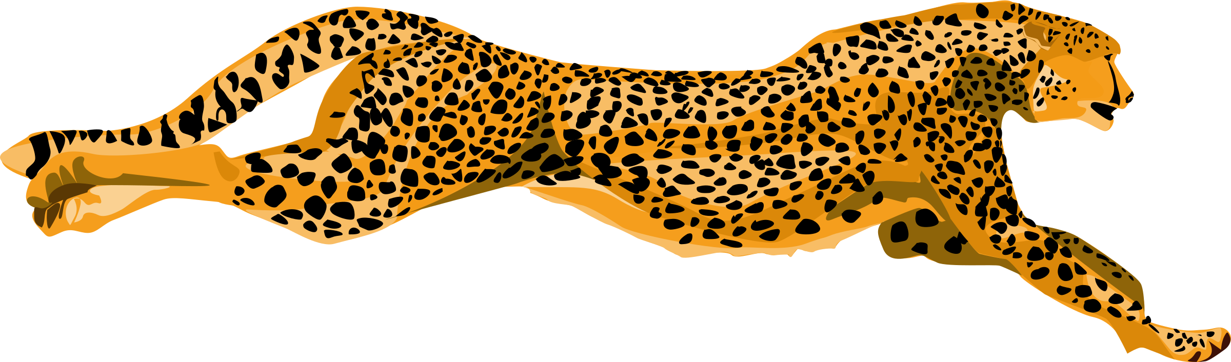 Png images free animals. Head clipart cheetah