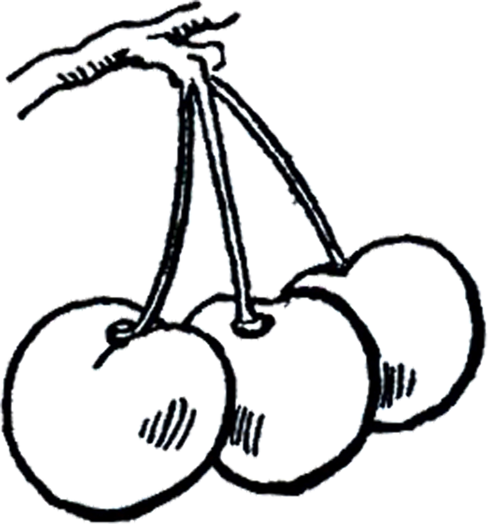 cherries clipart black and white clipart, transparent - 416.78Kb 1678x1800.