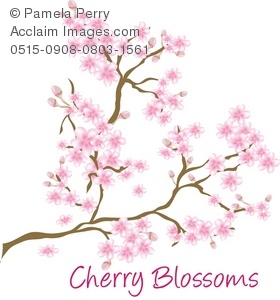 cherries clipart blossum