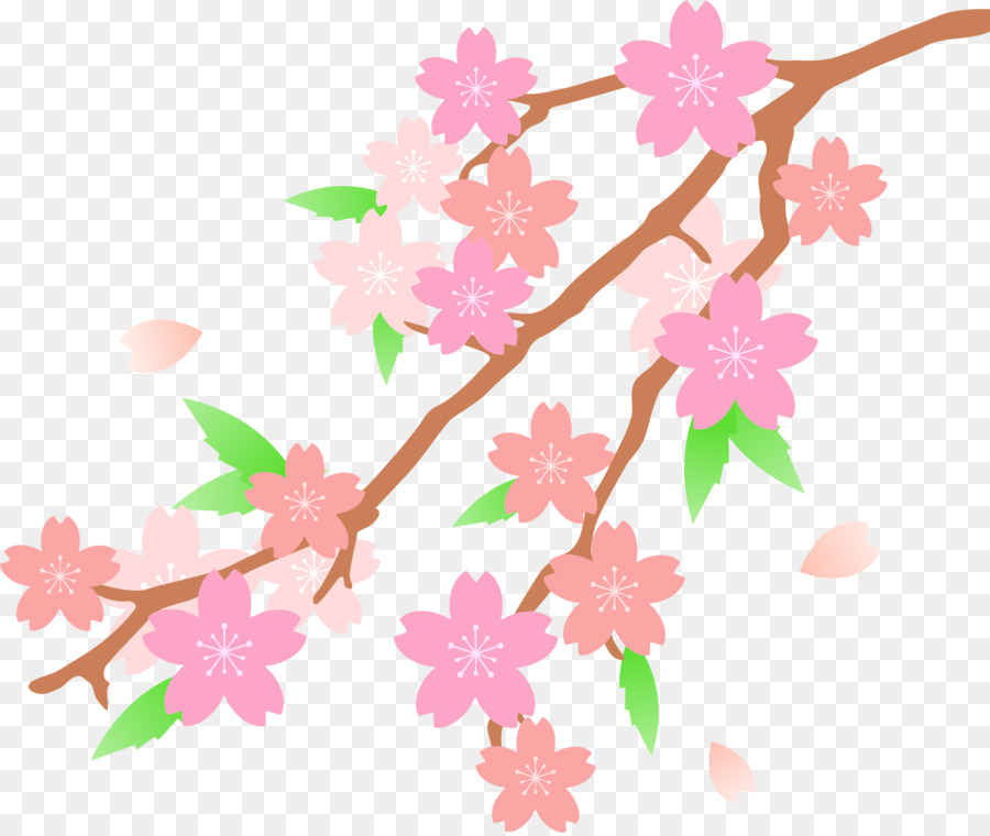 cherry clipart blossum