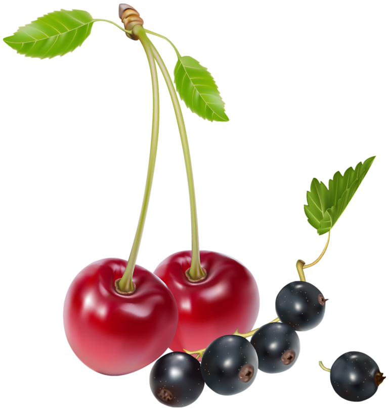 cherry clipart blueberry