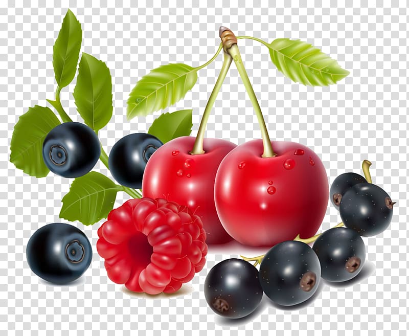 cherry clipart blueberry