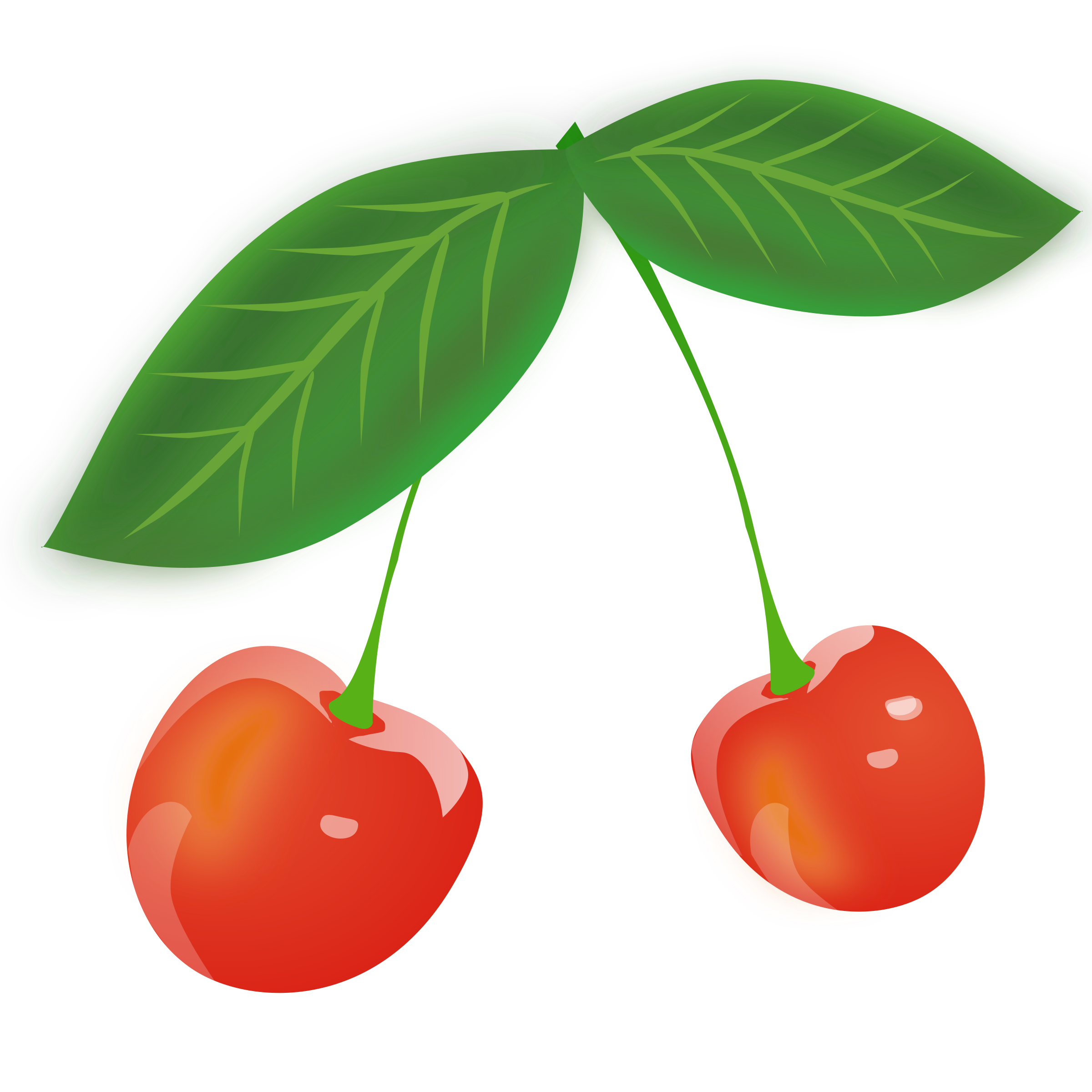 Cherries clipart ceri. Cherry