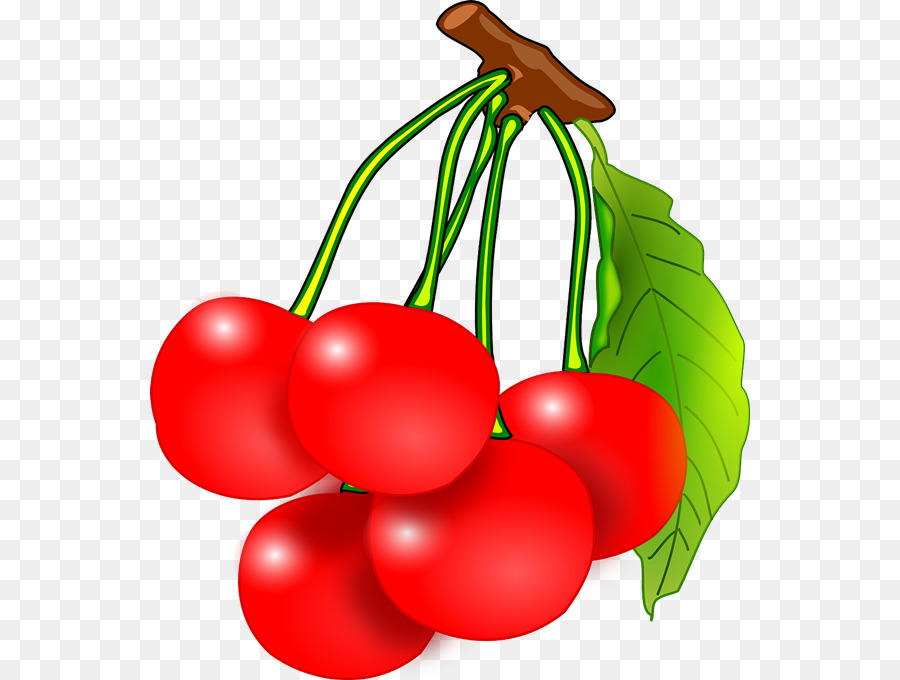 Cherries clipart cerry. Cherry tree food transparent