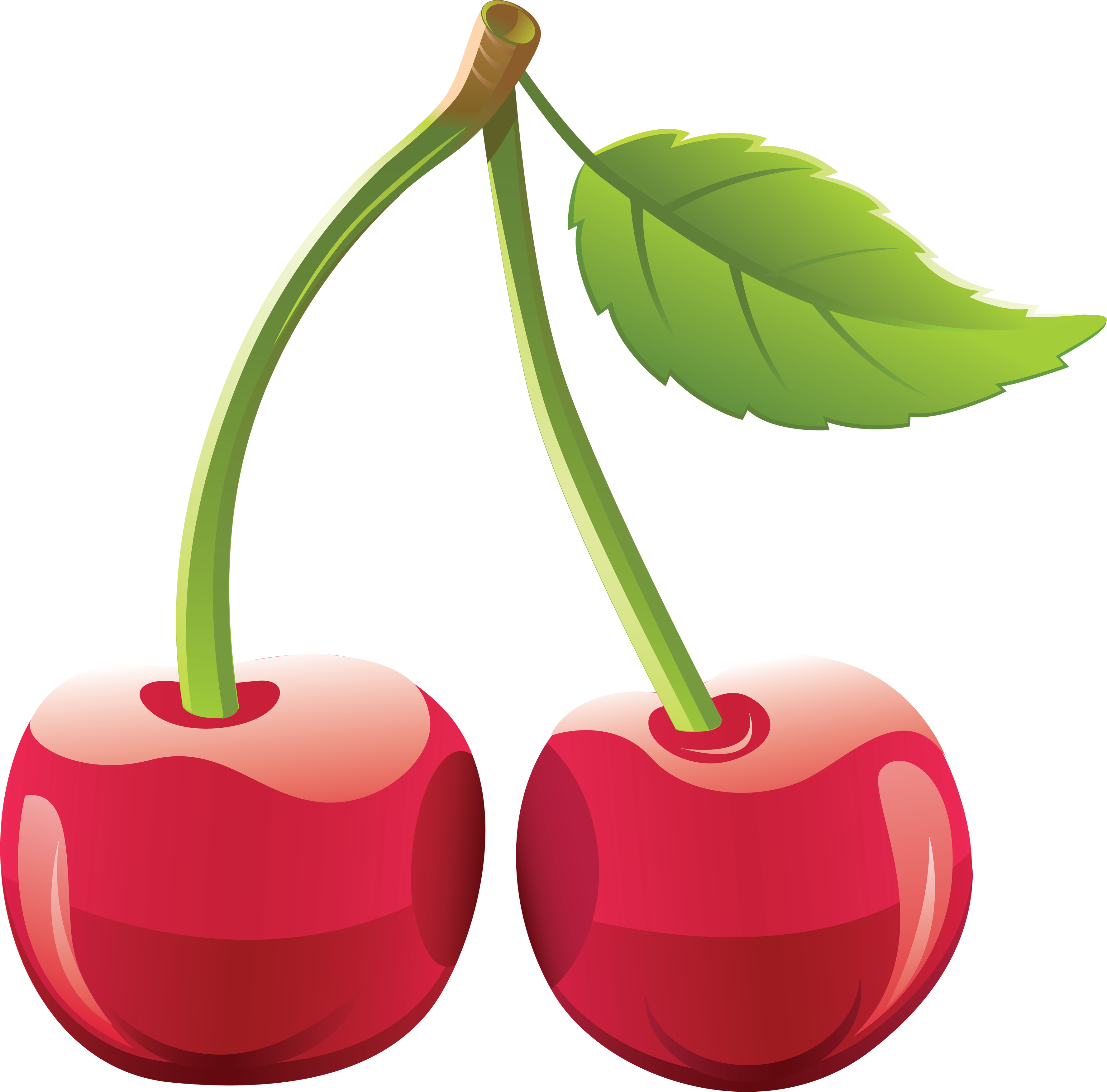 Cherries clipart cherry fruit. Png images free download