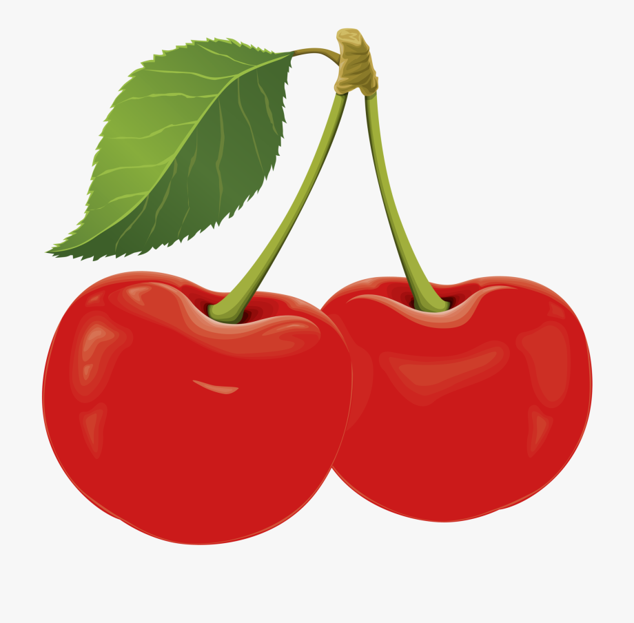 Free cliparts on clipartwiki. Cherries clipart cherry fruit