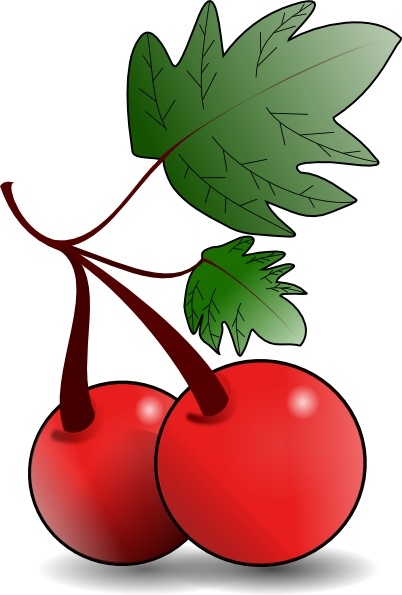 Cherries clipart cherry fruit. Clip art free vector