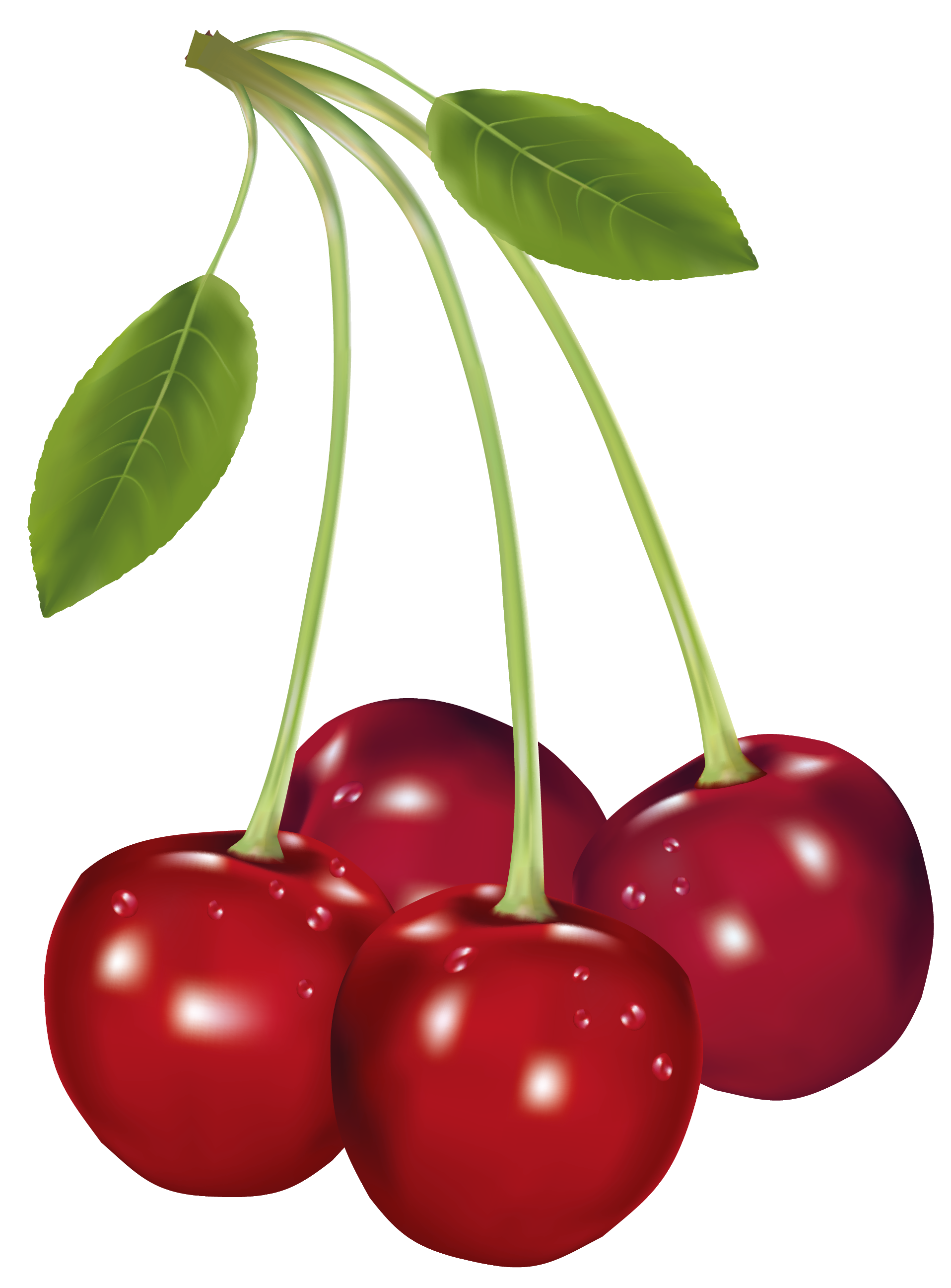 Mango clipart cherry. Cherries png picture gallery