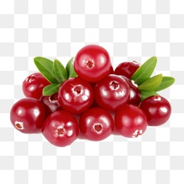 Png vectors psd and. Cherries clipart cranberry