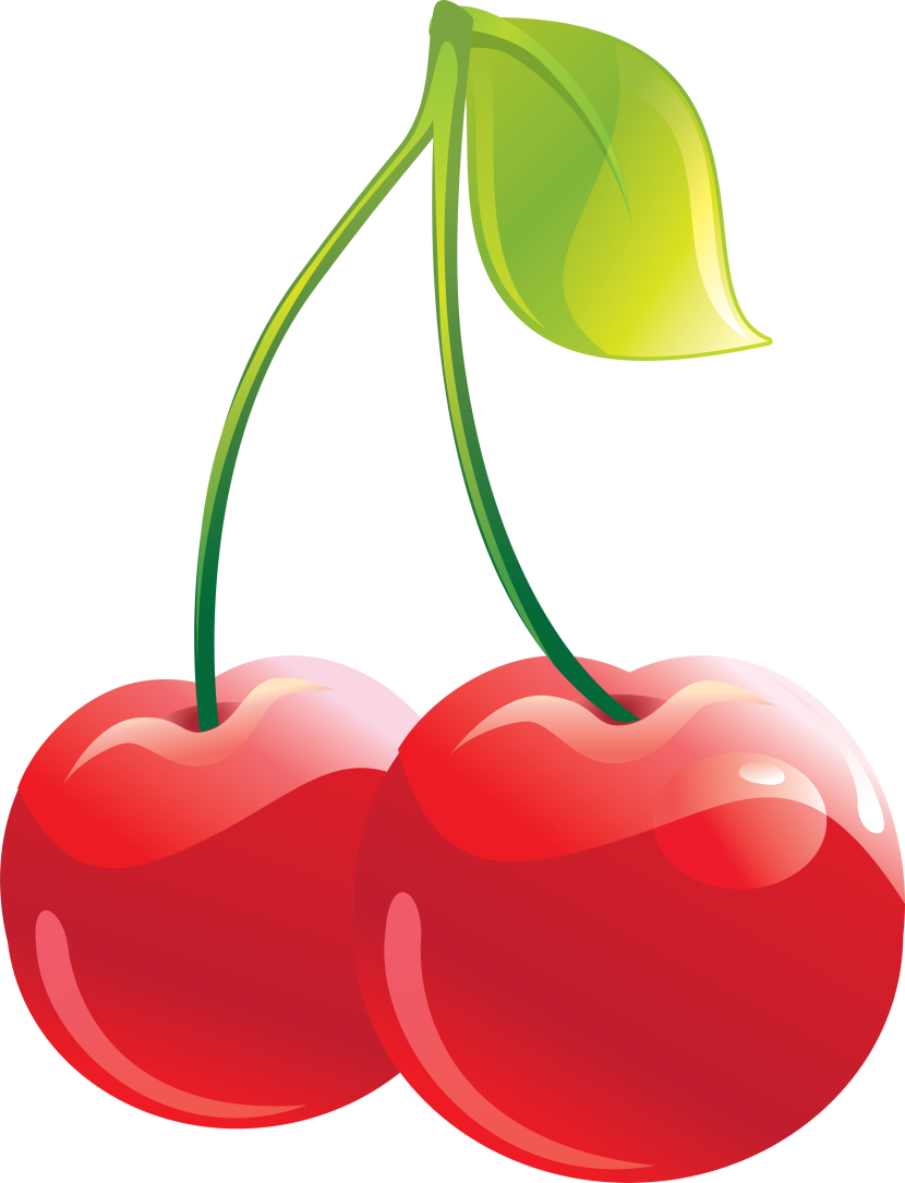 Tree cerry pencil and. Cherry clipart one cherry