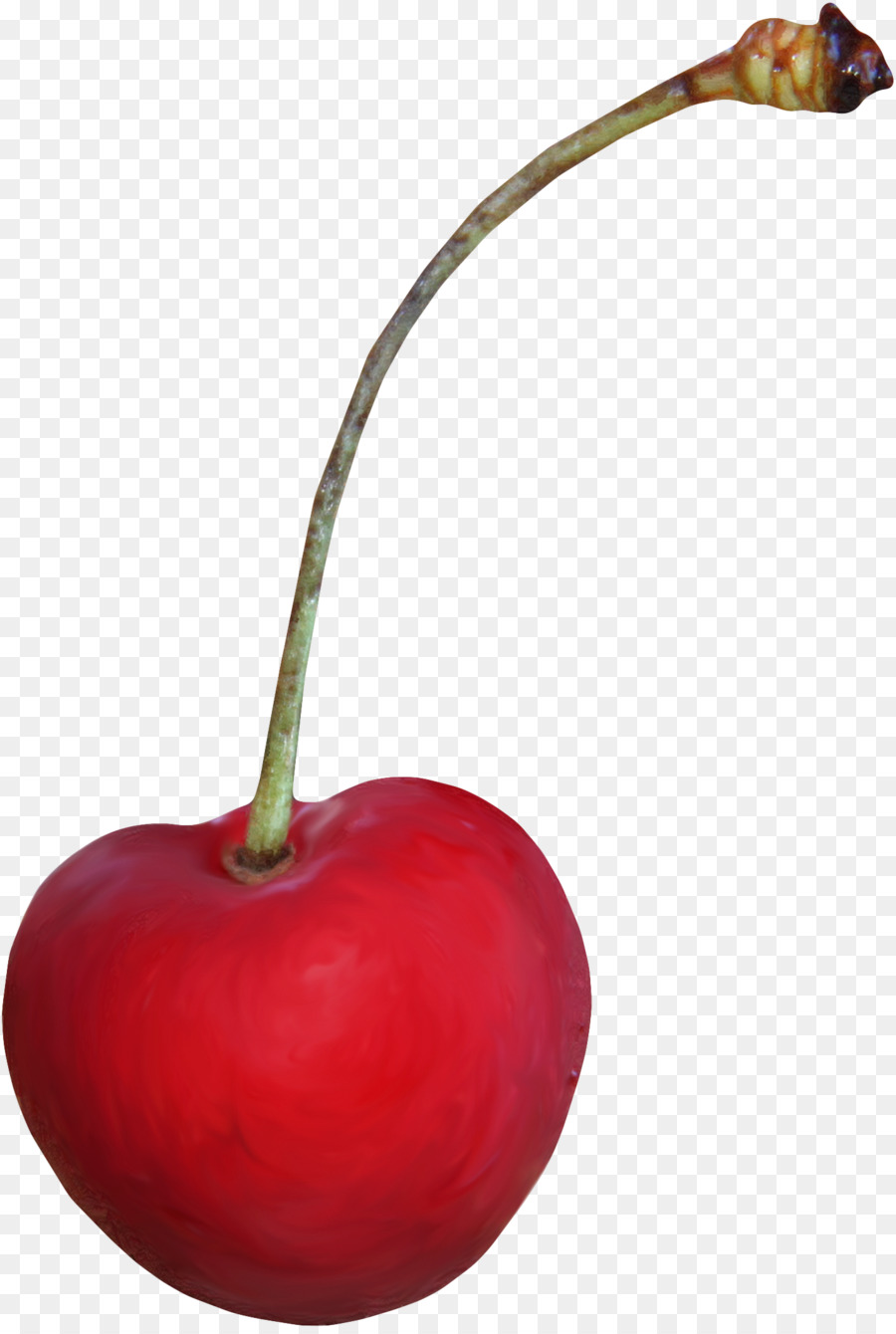 cherry clipart cherry fruit