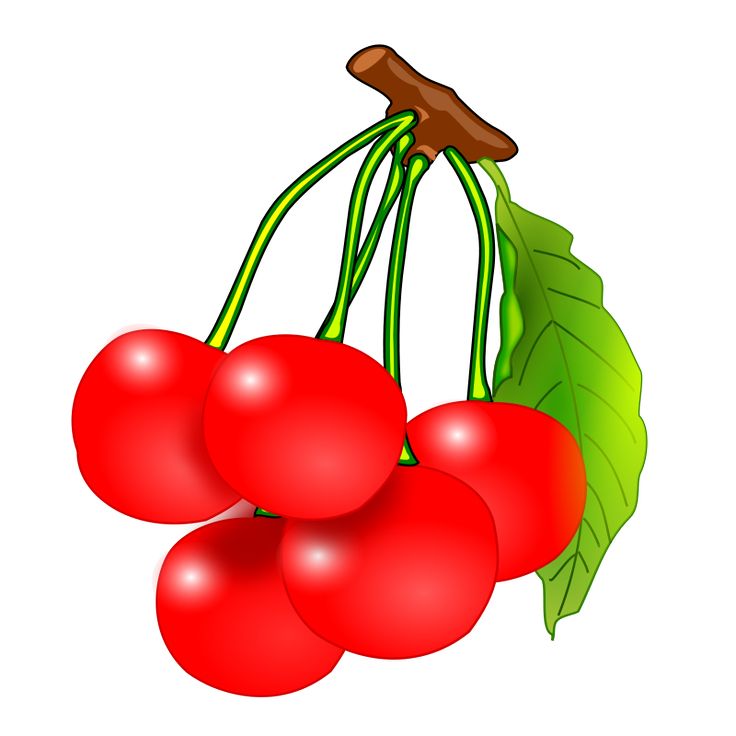 Clip art royalty free. Cherries clipart one cherry