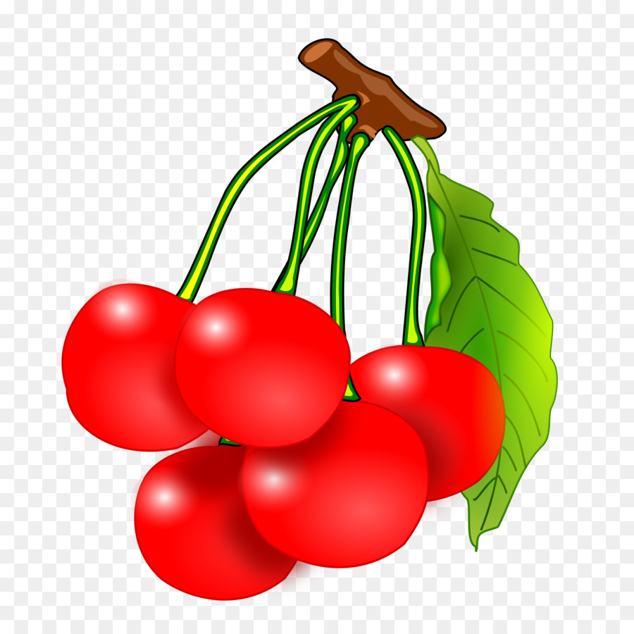 Potato cartoon fruit food. Cherries clipart red cherry