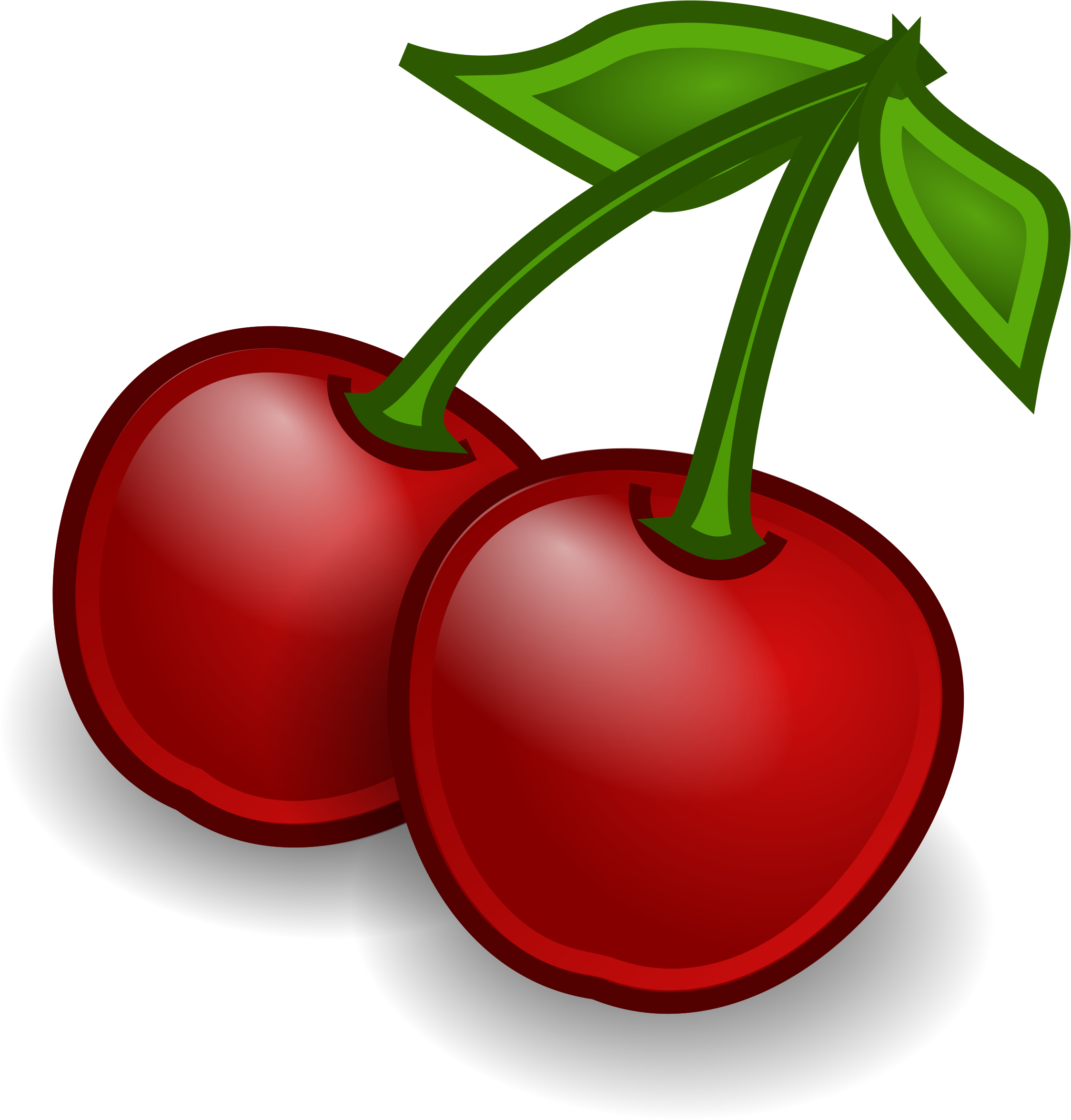 Fruit cherry