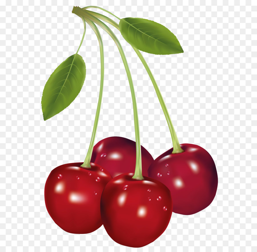 cherries clipart sour cherry
