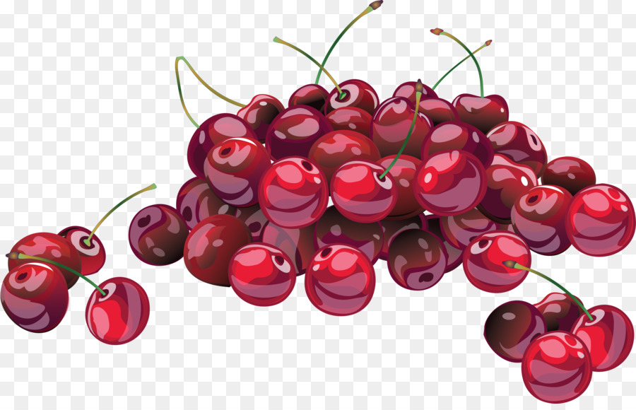 cherries clipart sour cherry