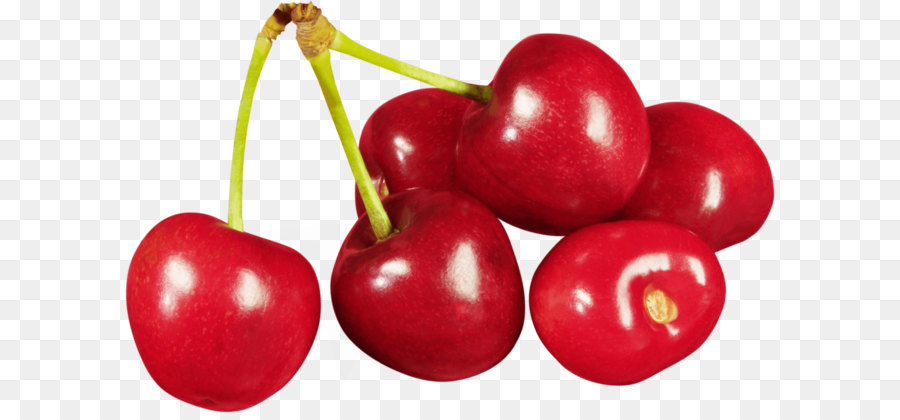 Clip art red png. Cherry clipart sour cherry