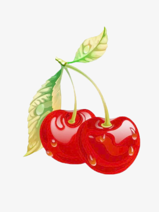 Sweet and cherries fruit. Cherry clipart sour cherry