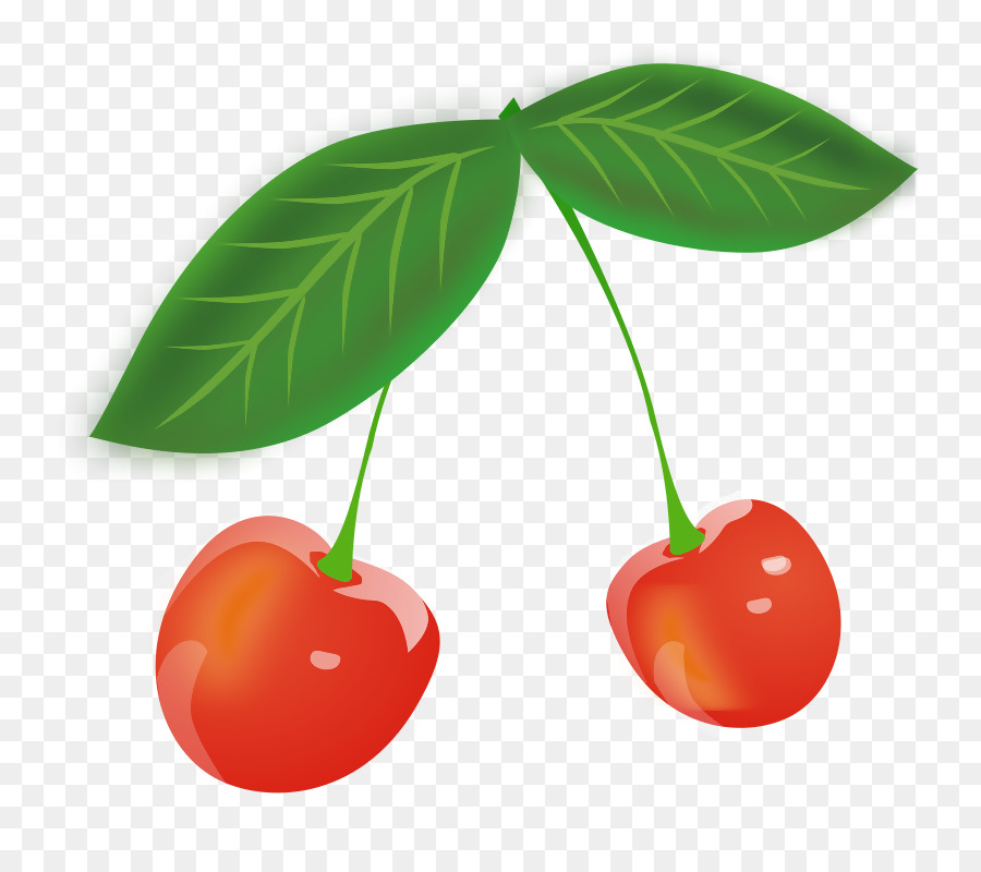 Cherry clipart sour cherry. Fruit clip art png