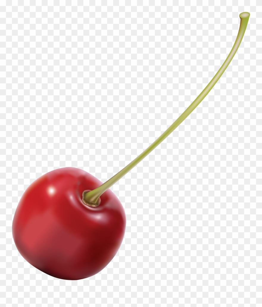 cherry clipart stem