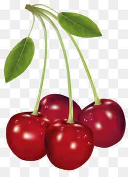 cherries clipart three