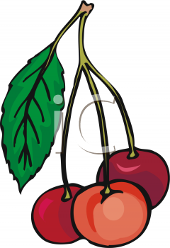 On a stem image. Cherries clipart three