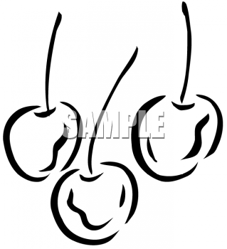 cherries clipart three