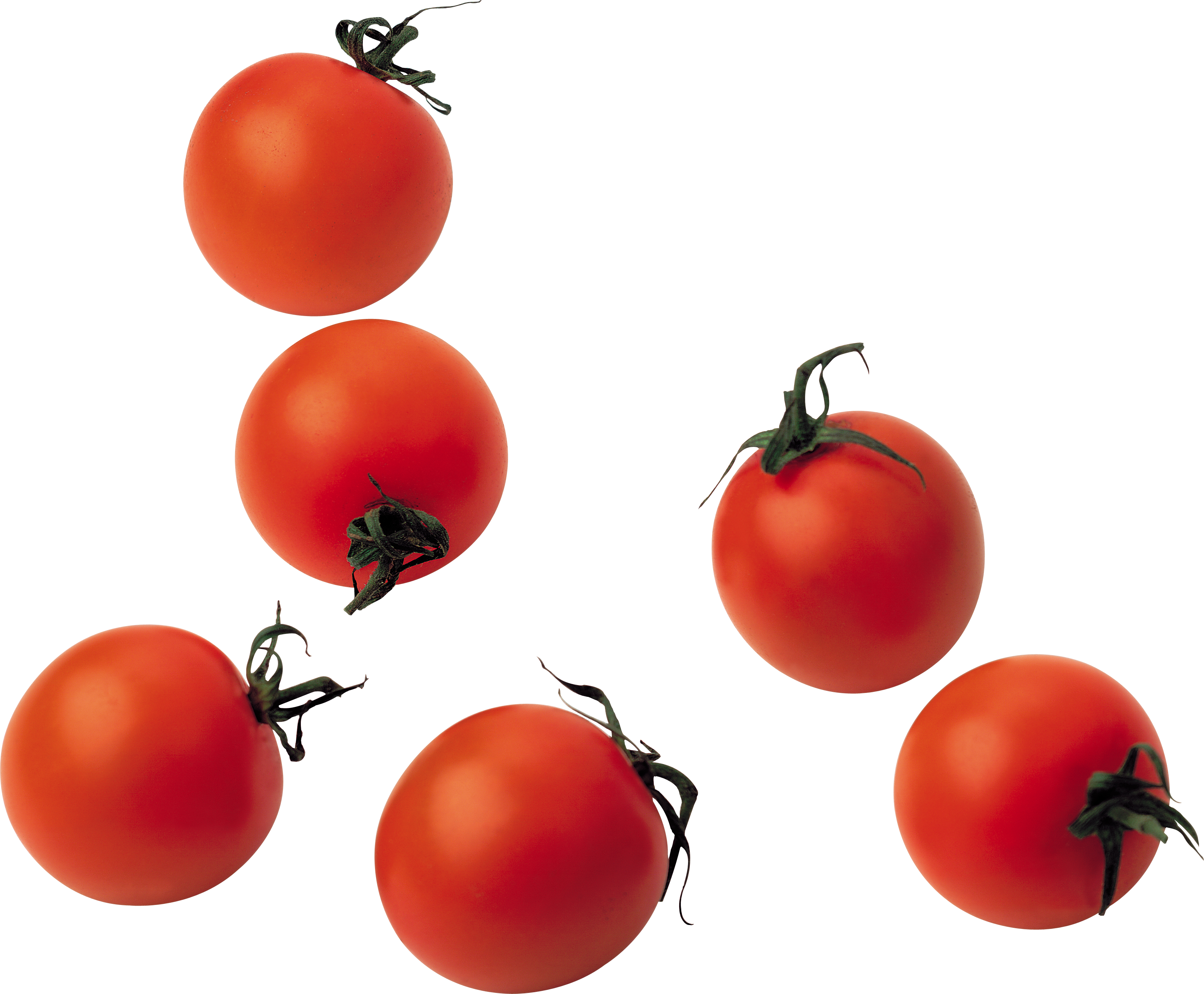 cherries clipart tomatoe