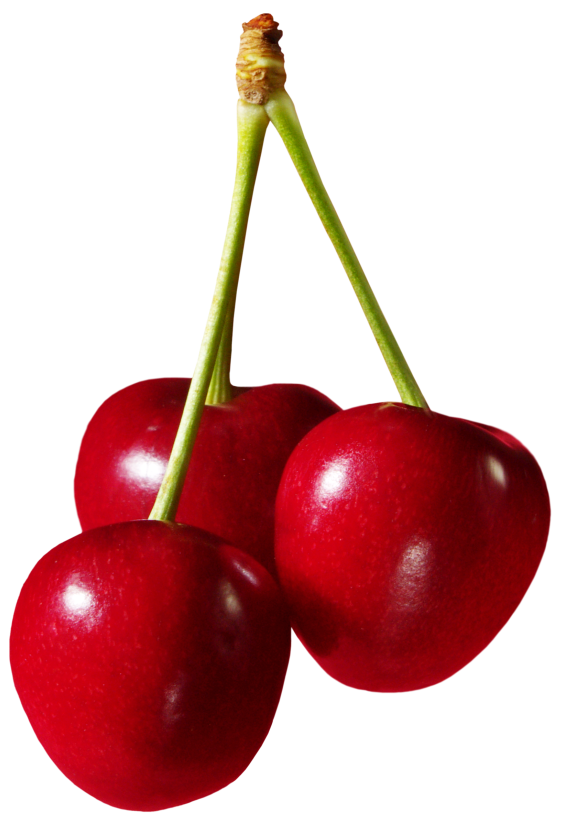 fruit clipart cherry