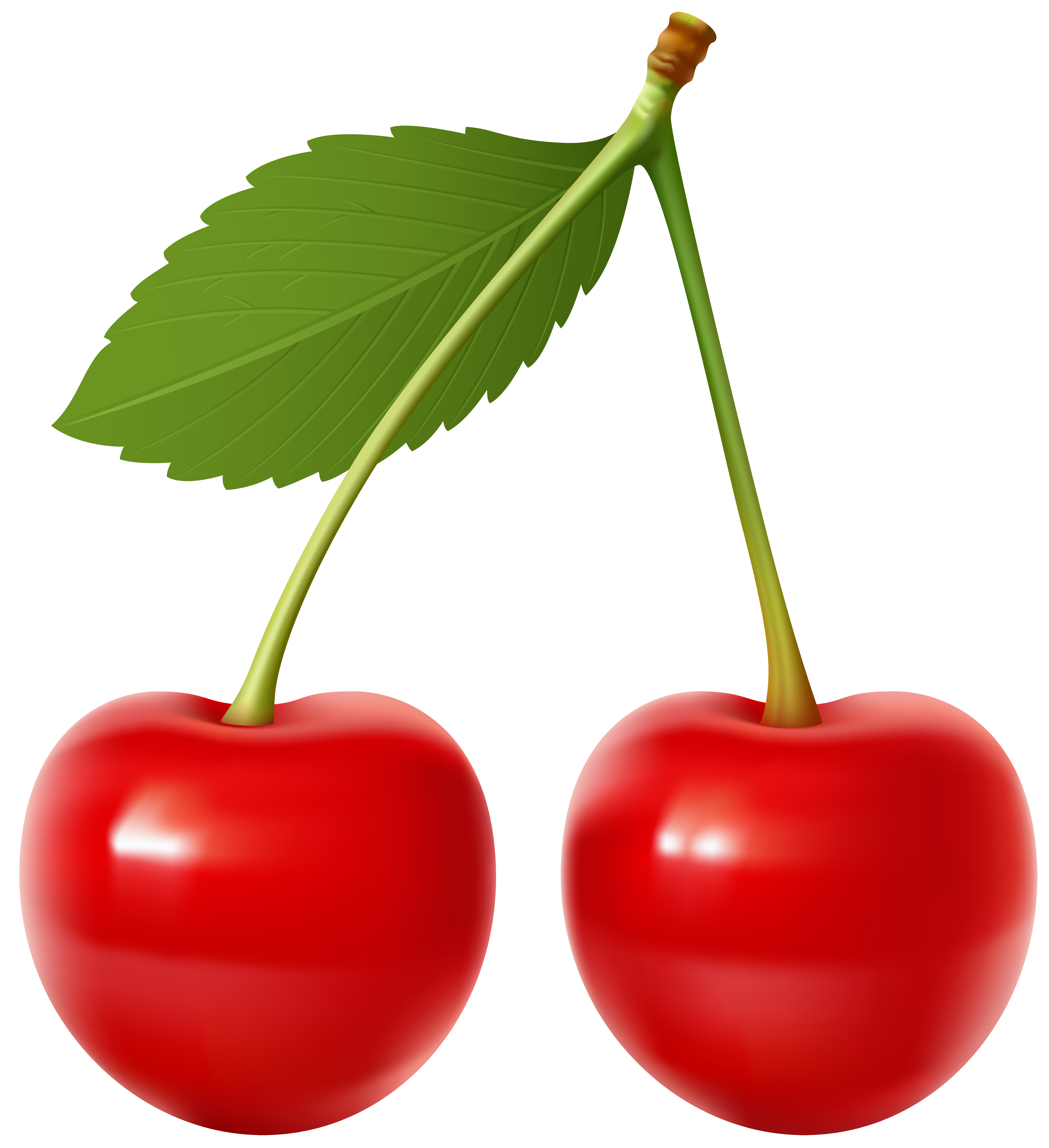 clipart heart cherry