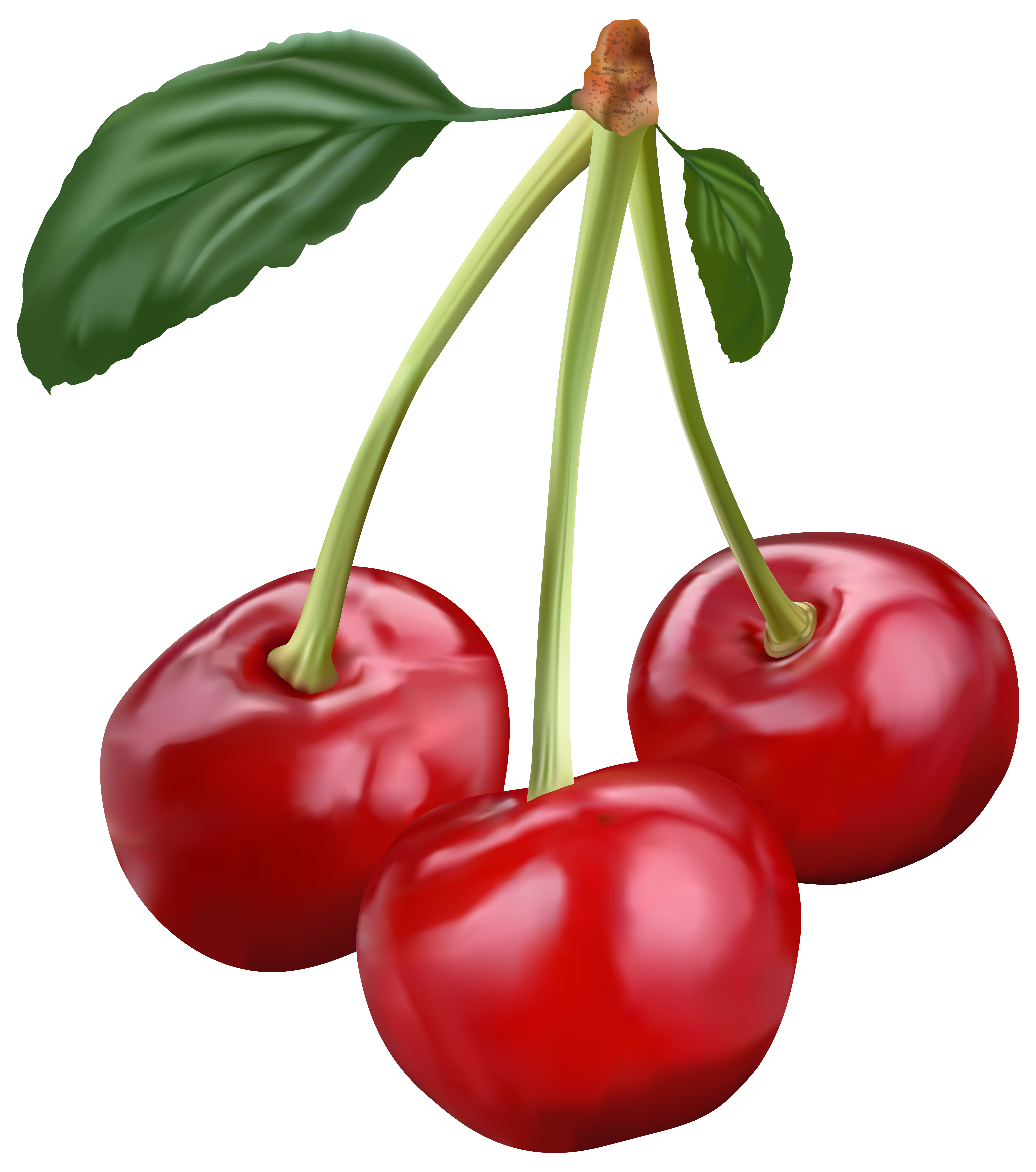 clipart fruit cherry