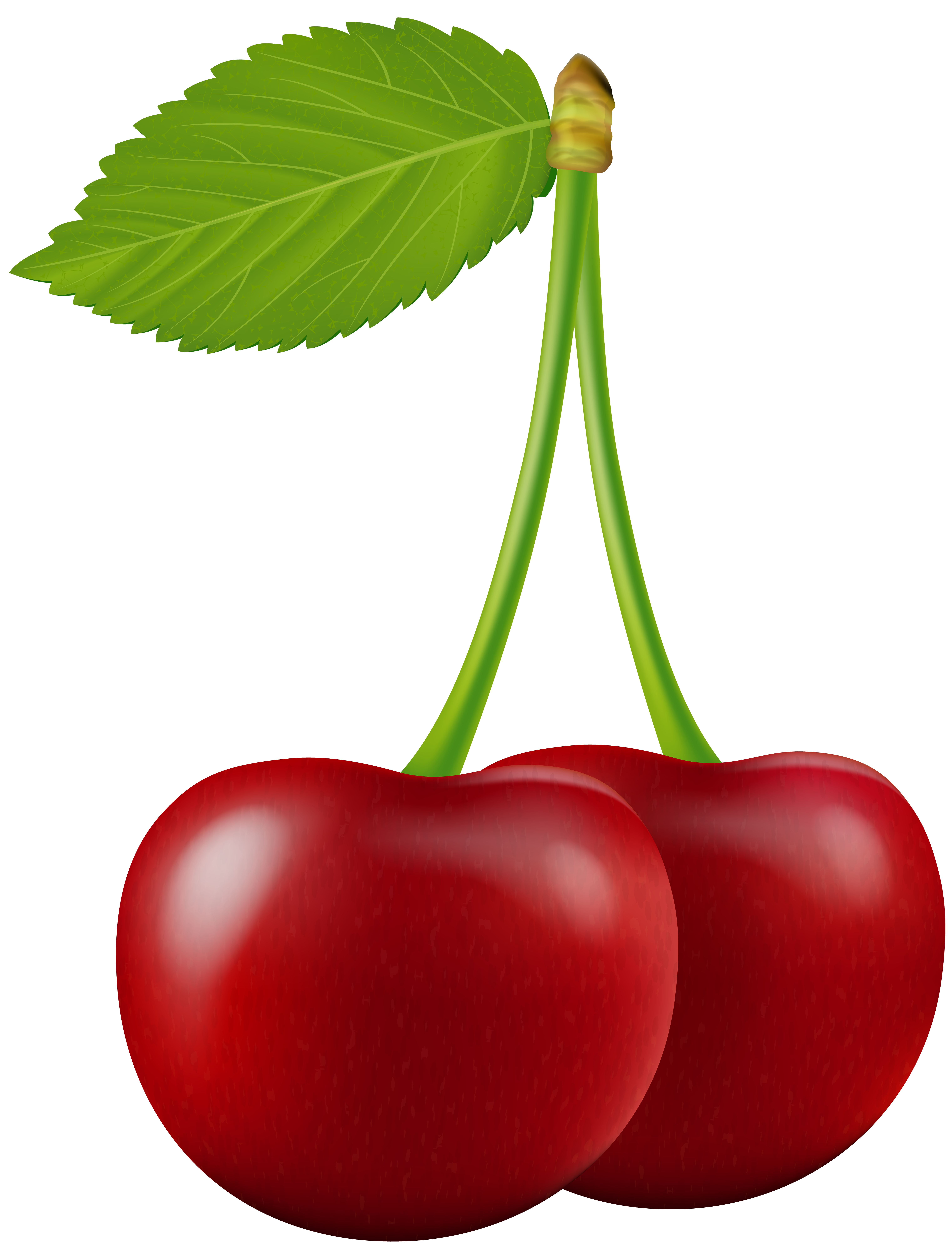 cherries clipart transparent background
