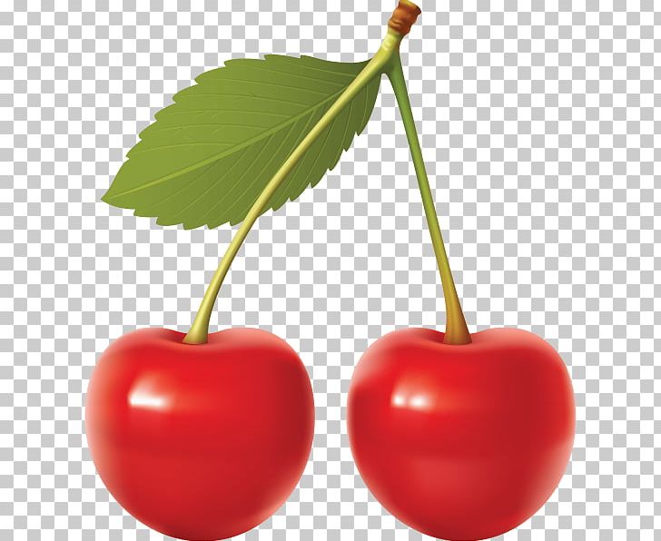 cherries clipart two cherry