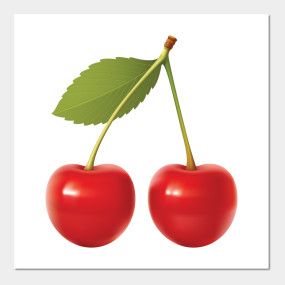cherries clipart vector
