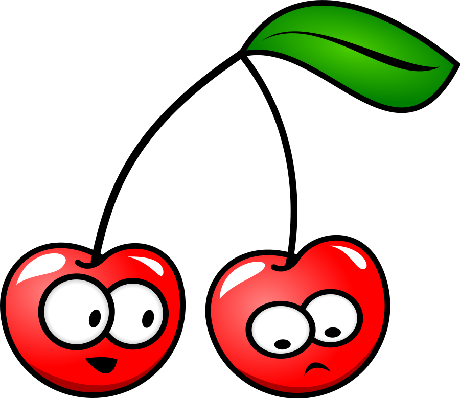 cherries clipart vector