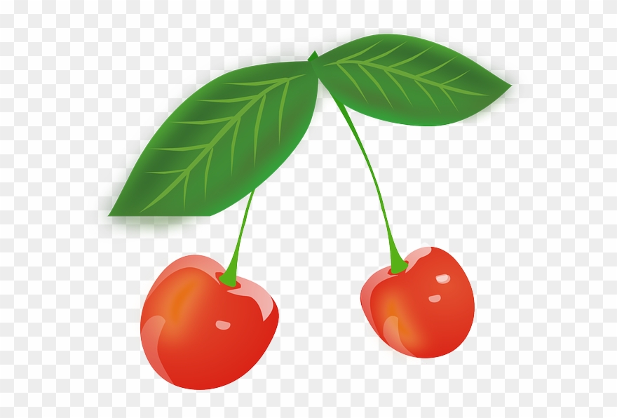 Cherry clipart animated. Fruits red berries leaves