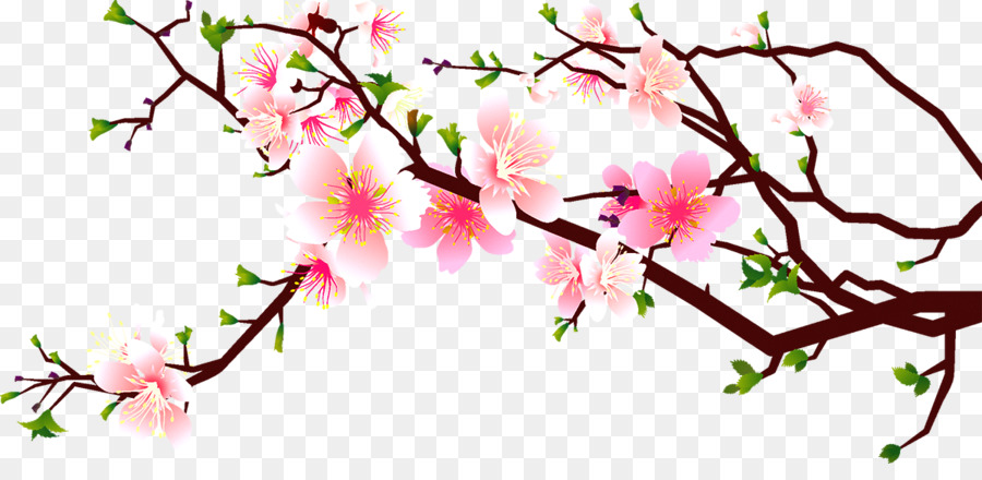 cherry clipart blossum