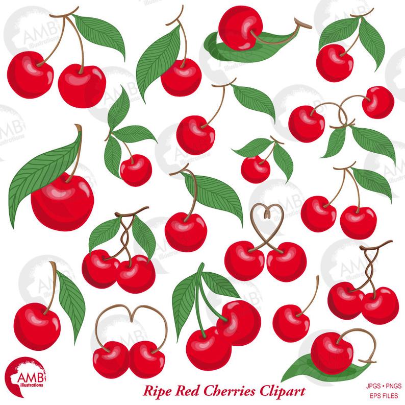 cherry clipart cheery