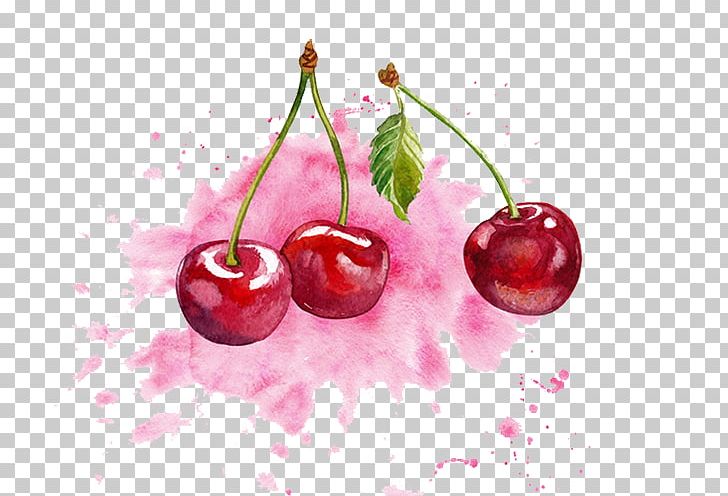 Cherry clipart color. Watercolor painting png cherries