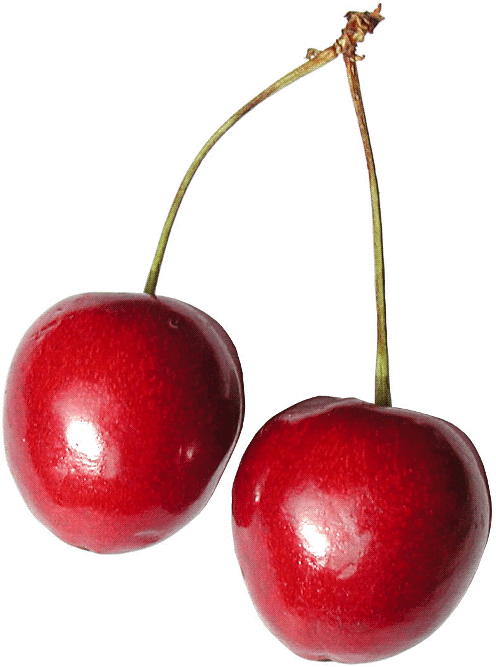 Cherry clipart one cherry. Free page of public