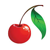 Cherry clipart single cherry.  collection of high