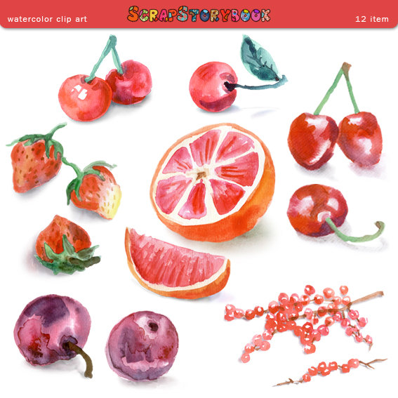 Cherry clipart sour cherry. Watercolor fruit clip art