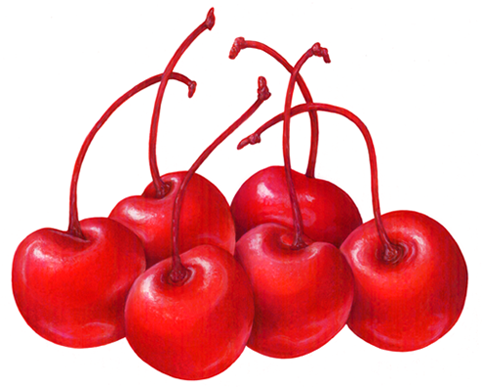cherry clipart three