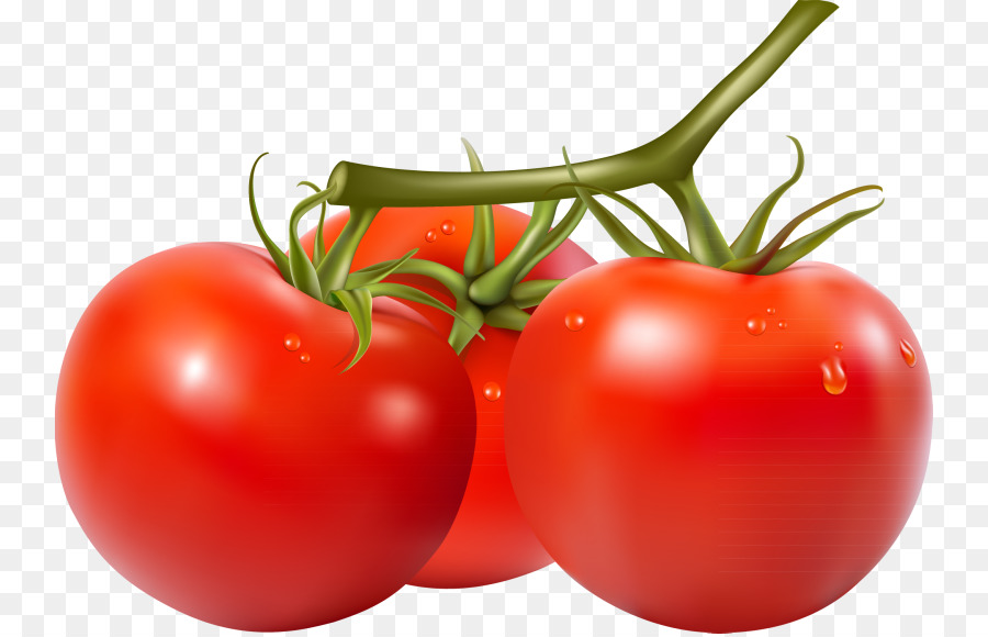 cherry clipart tomatoe