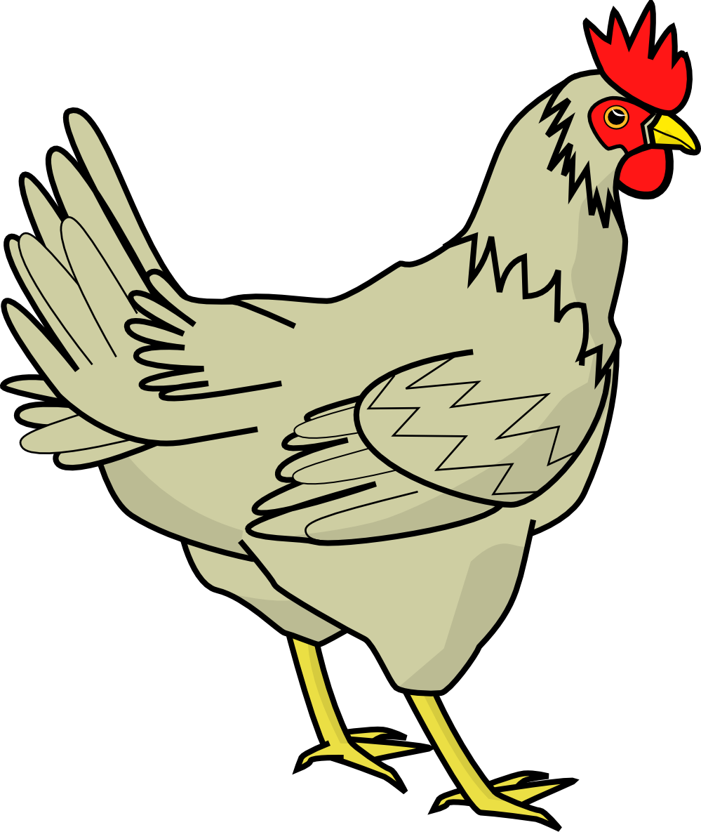 Chicken black and white. Sad clipart rooster