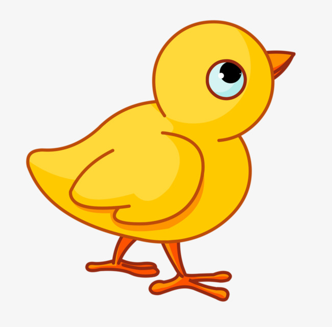 chick clipart bird